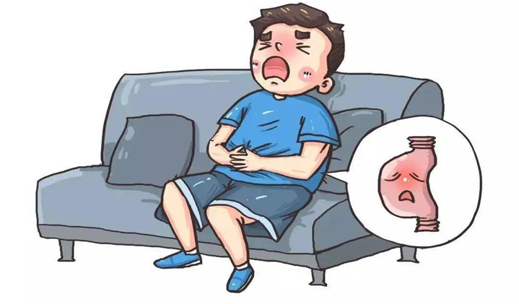 胃结石的病因是什么